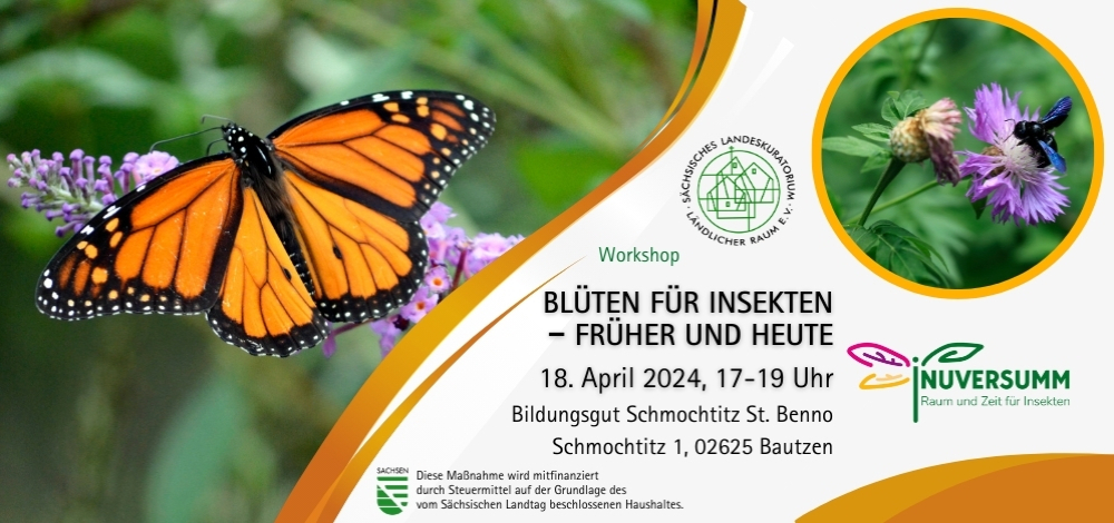 Seminar »Blüten für Insekten – früher und heute«