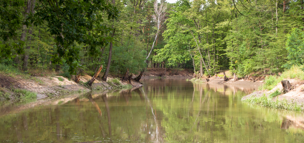 Vortrag: Redynamisierung der Spree
