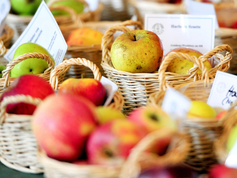 Herbst-Naturmarkt