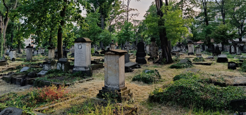 Biografische Lesung auf dem Eliasfriedhof: „Fräulein aus Hannover – das Übrige unbekannt“ Die Wiederentdeckung der Schriftstellerin Adelheid Reinbold