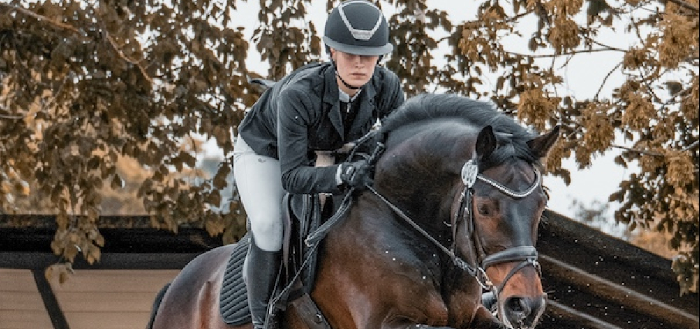 Reiterfest des Reiverein Großhennersdorf