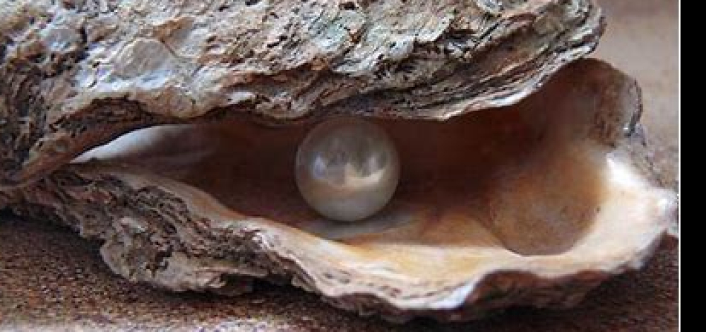 Perlen des Spätbarock