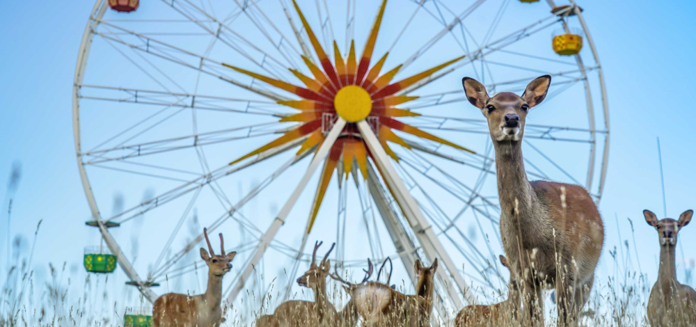 Familienzeit im Herbst im Sonnenlandpark Lichtenau