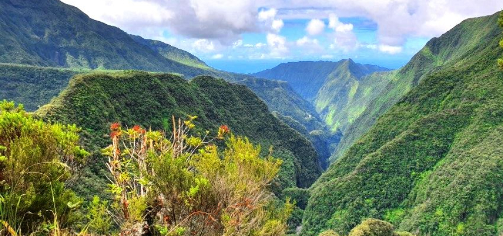 „La Réunion - Naturparadies im Indischen Ozean“