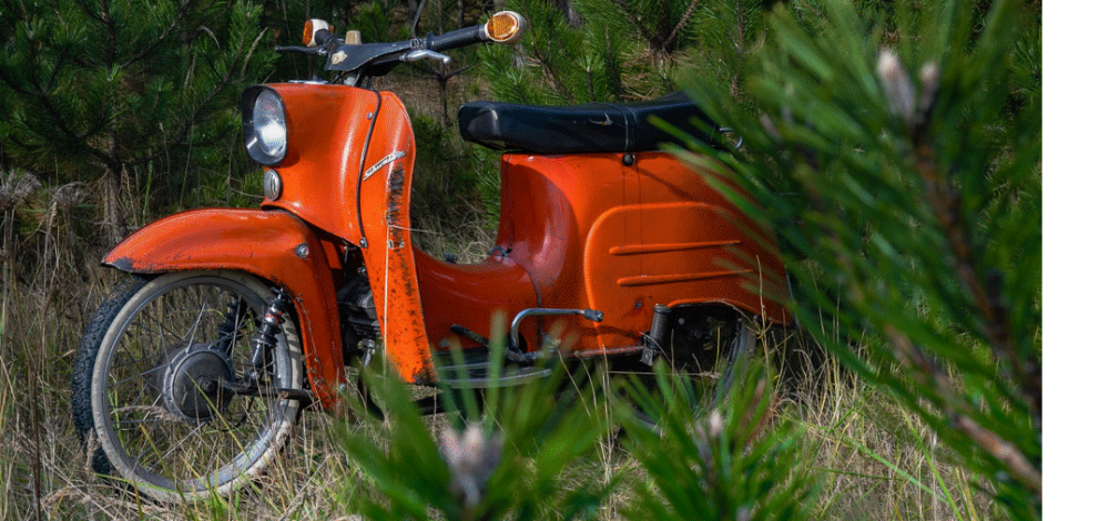 6. Görlitzer Weihnachtsausfahrt