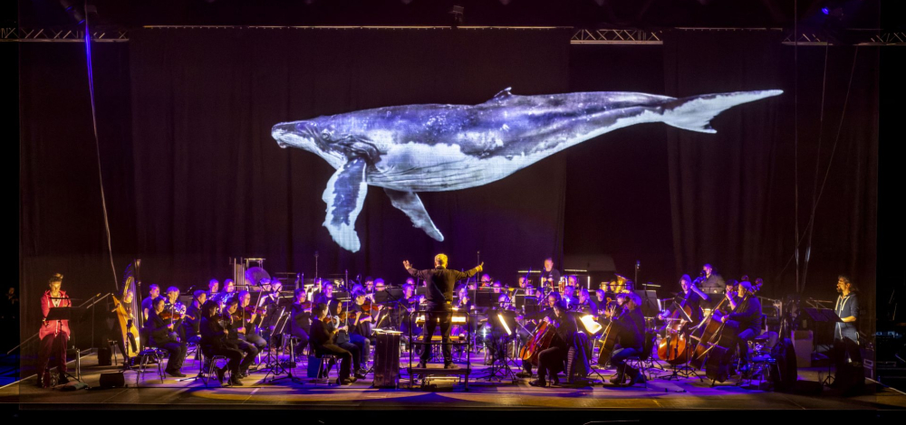 Unten im Meer: Käptn Floyds Abenteuerreise. Das Hologrammkonzert mit der Elbland Philharmonie Sachsen