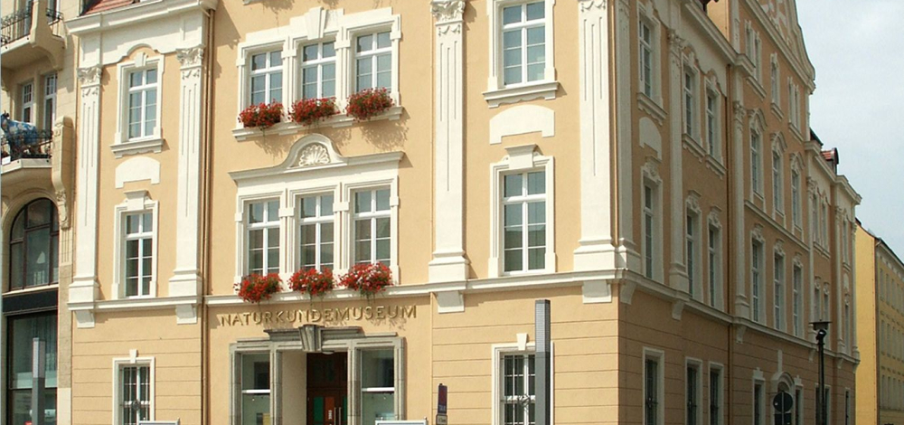 Warum werden Frauen unterdrückt? – Ein Blick auf unsere Geschichte Vorträge von Dr. Bernhard Seifert, Görlitz