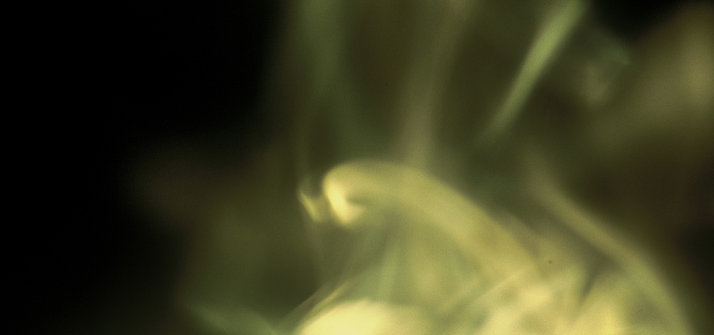 Kräuter – Rauch- und Räucherkräuter, ein Spaziergang und zum Ausprobieren