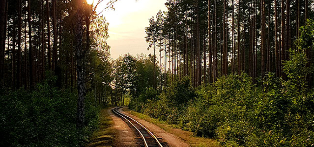 Mondscheinfahrt für Kinder mit der Waldeisenbahn Muskau