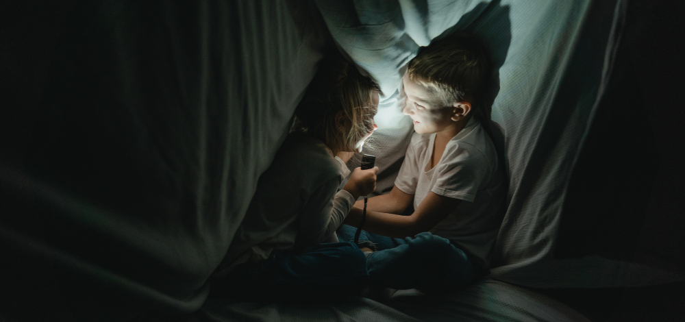 Taschenlampenführung "Ein Blumenstrauß fürs Museum"