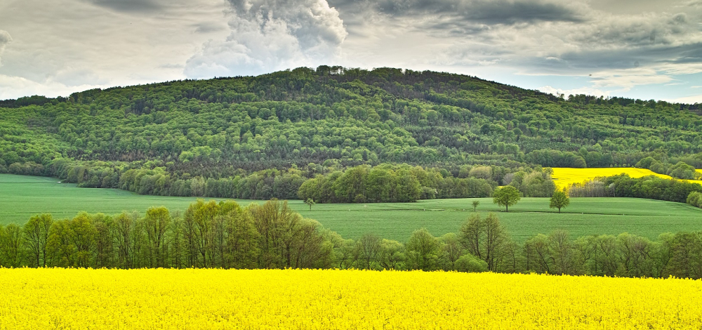 Der Czorneboh bei Bautzen und die angrenzenden Berge – Eberhard Schmitt