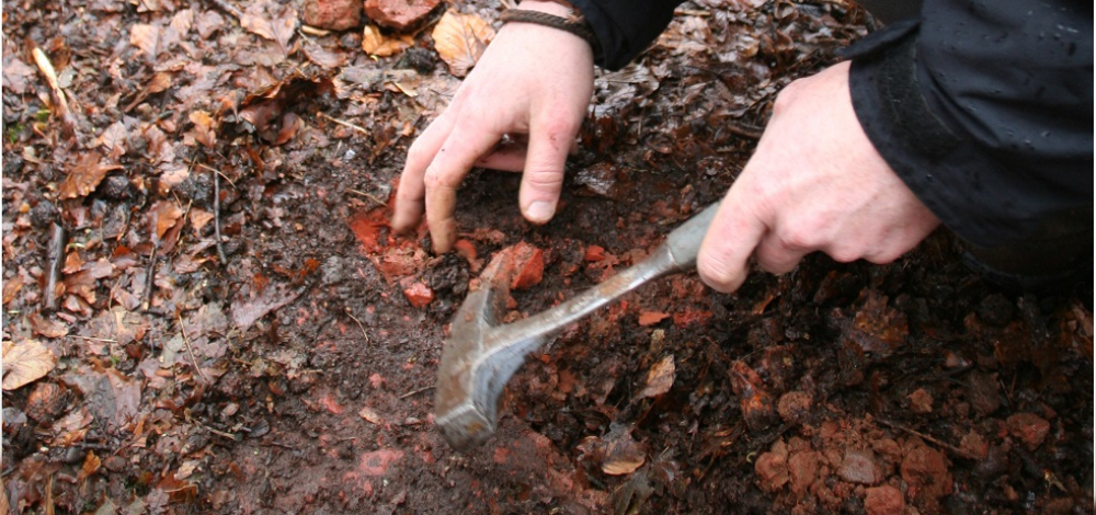 Der Ralsko bei Mimon (CZ) – eine geologische Wanderung zu kreidezeitlichen Meeresablagerungen und tertiären Vulkanen