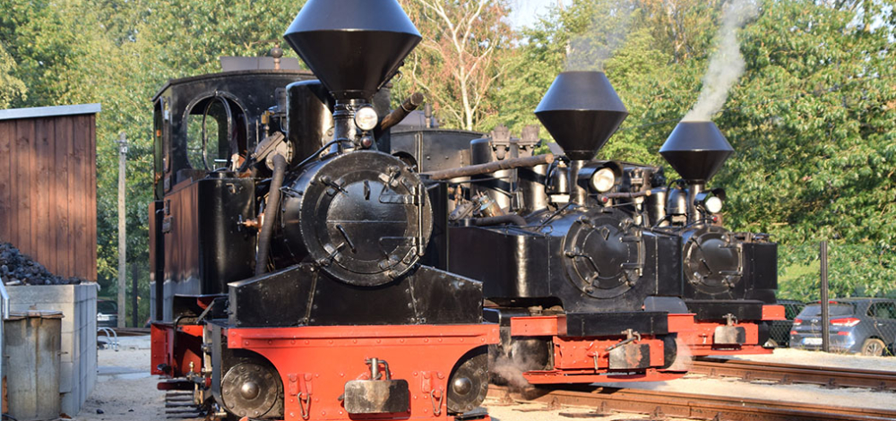 Museumsfest der Waldeisenbahn Muskau 2025