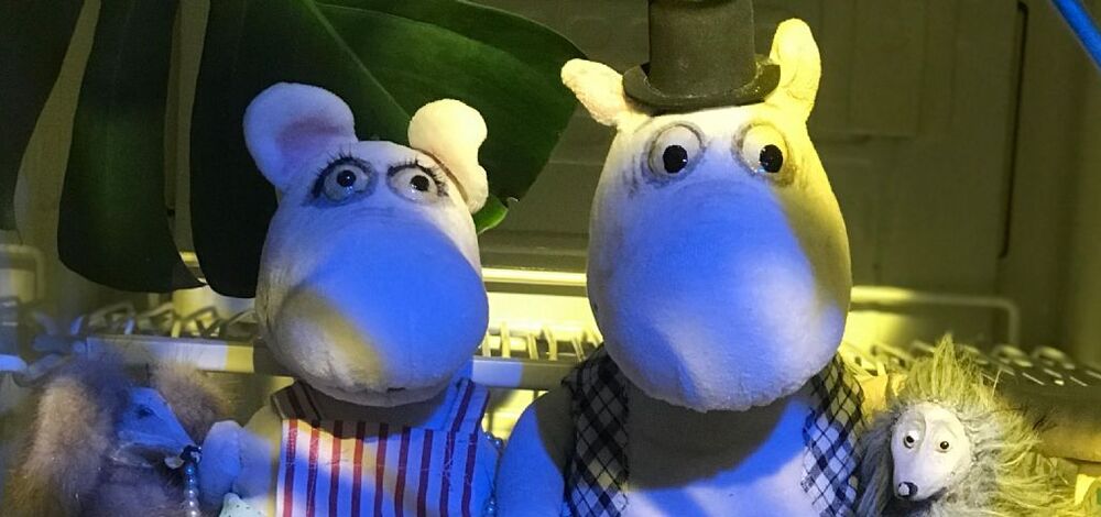 Ein Urwald im Mumintal