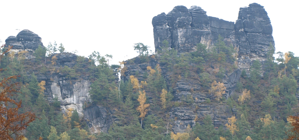 Naturerlebnis im Bastei-Wald