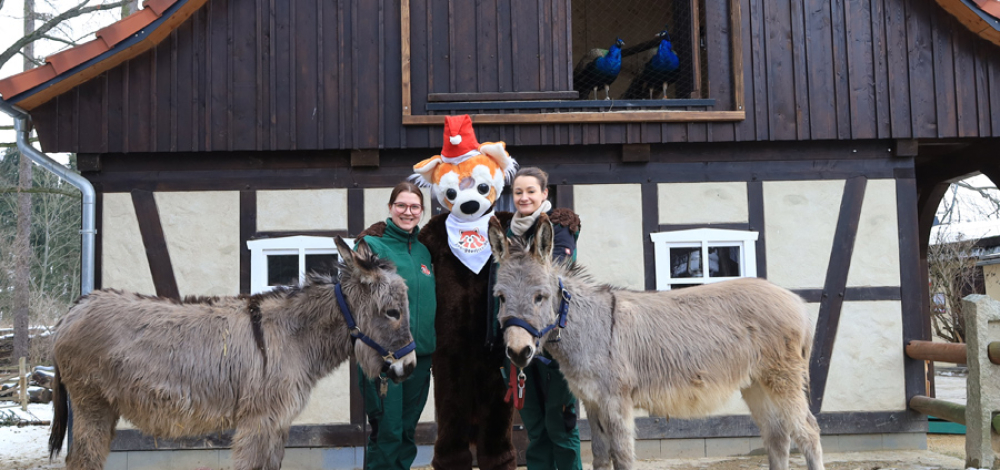 Bescherung der Tiere