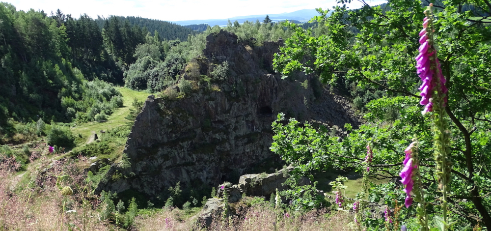 Kräuter - Herz-Schmerz-Kräuter im Reich der Binge