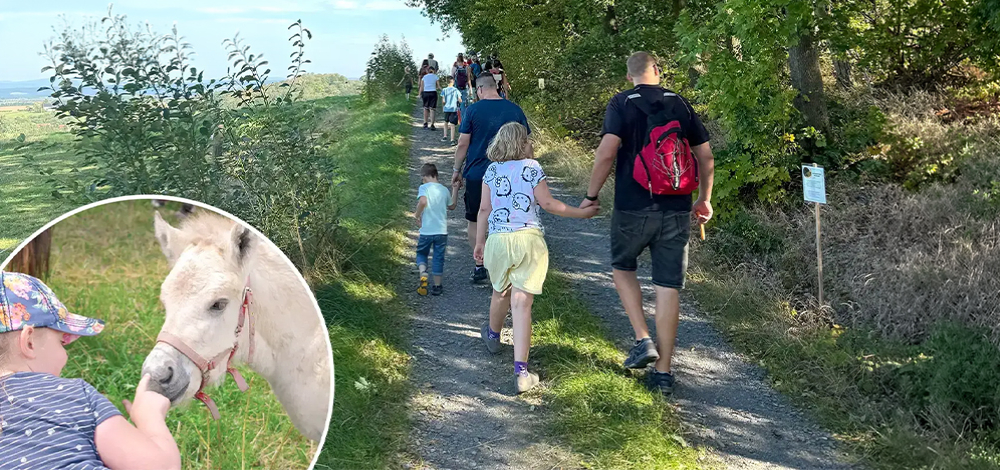 Hof-Tour am Fjordgestüt – Ein Nachmittag zum Staunen und Lernen