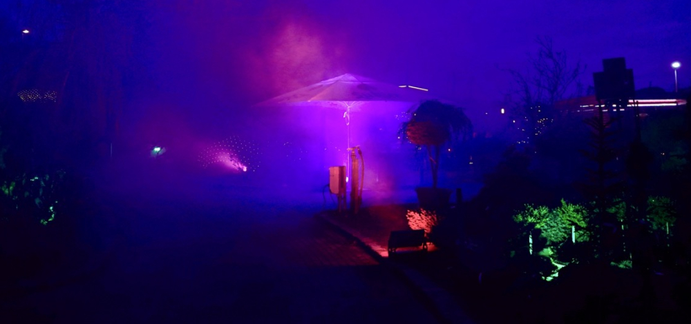 Magische Polarlichter im Garten der Lichter