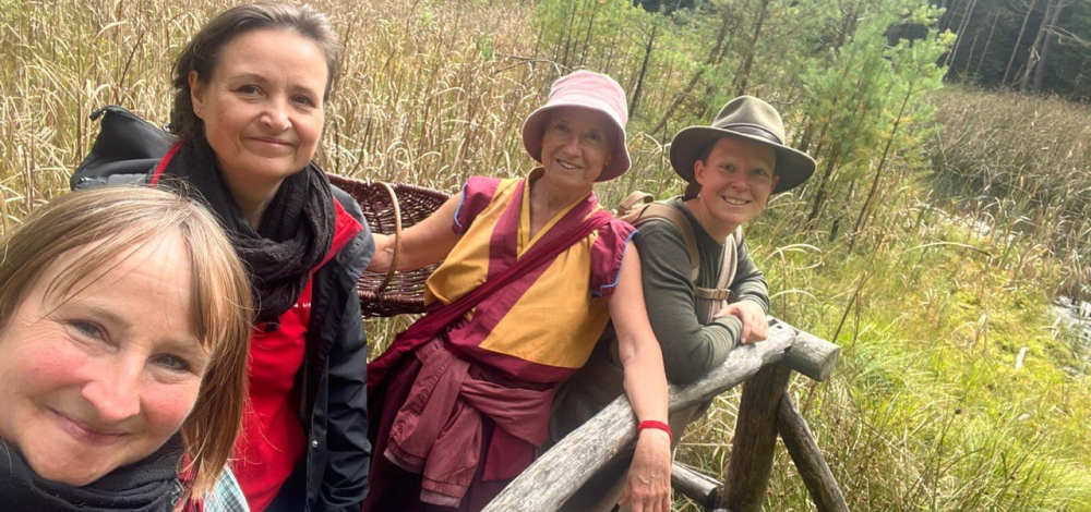 Wanderung & Meditation - Ausflug in die Heide