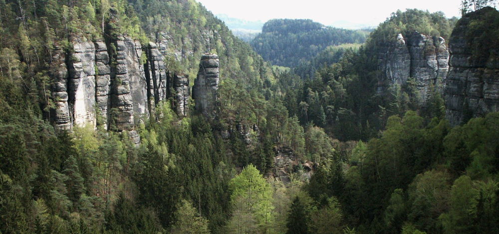 Der Wildnis im Polenztal auf der Spur
