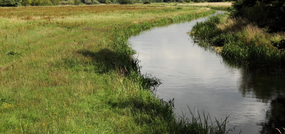 Vortrag: Entwicklung und Zustand der Fischfauna in den Fließgewässern des Biosphärenreservates Oberlausitzer Heide- und Teichlandschaft