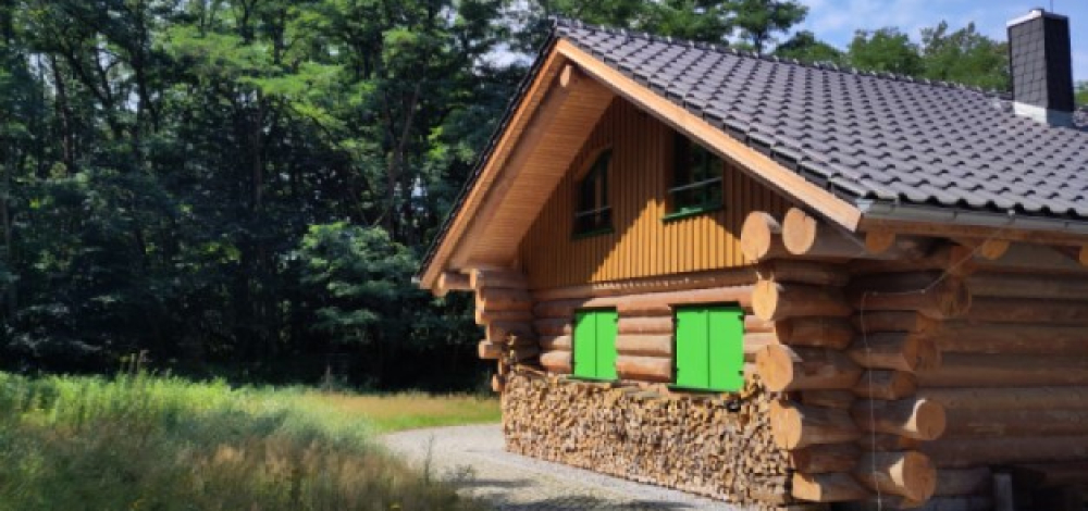 Tag der Wildnisstation - Umweltbildung im Wildnisgebiet Königsbrücker Heide