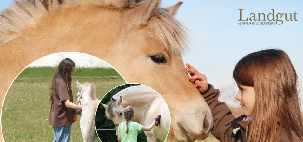 Ponyclub am Landgut: Das Leben ist ein Ponyhof