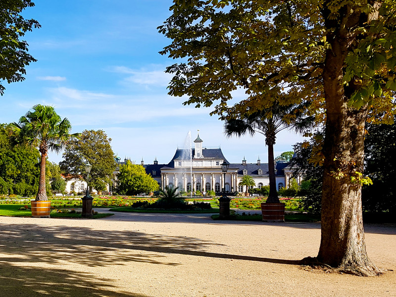 Sonderführung »Der Pillnitzer Schlosspark - Geschichte und botanische Besonderheiten«