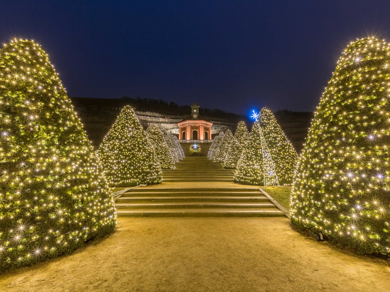 Sternenglanz & Weihnachtsmenü