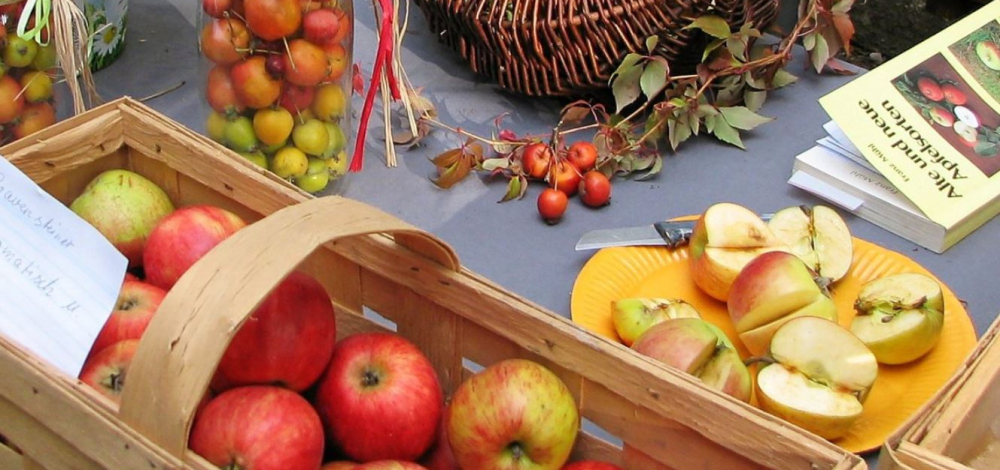 21. Früchteschau im Salzhaus Zittau