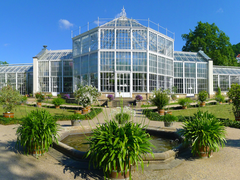 Das Gläserne Paradies - Das Pillnitzer Palmenhaus