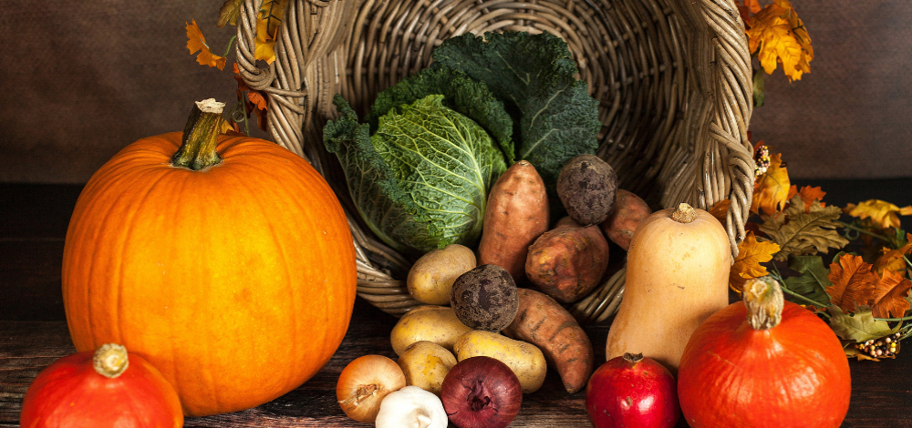 Herbstspaziergang mit der Marktfrau Marie