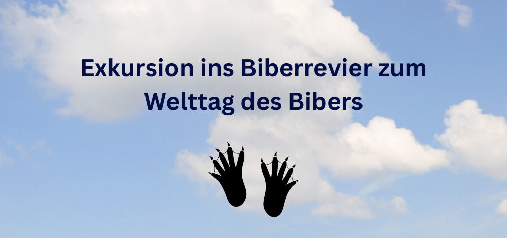 Familienexkursion zum Welttag des Bibers