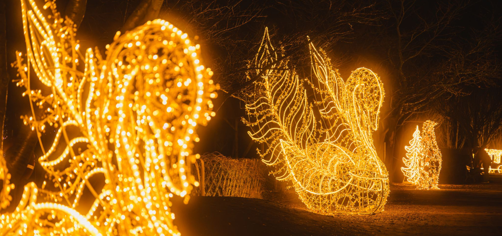 Valentinstag im Lichterzauber des Sonnenlandpark Lichtenau