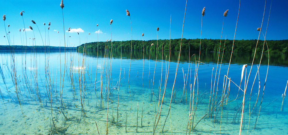 Faszination Endmoränenlandschaft