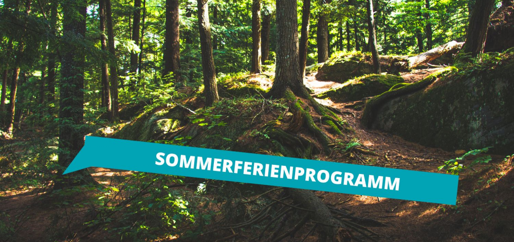 Sommerferienprogramm: Holz im Wald, im Berg und in der Hütte