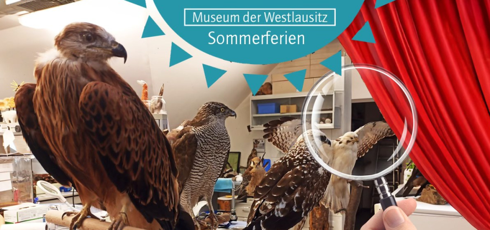Sommerferien im Museum: Blick hinter die Kulissen