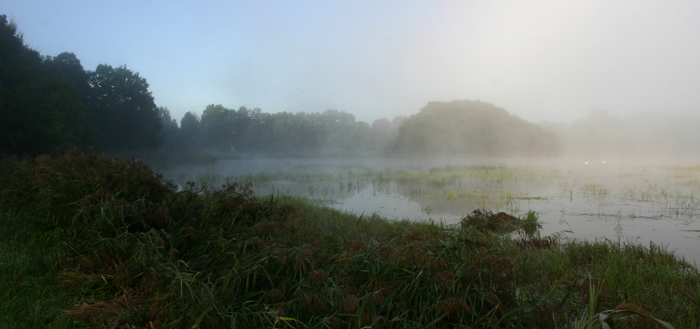 Im Reich des Lausitzer Wassermanns