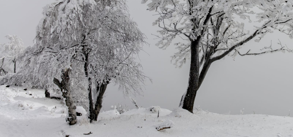 WINTERREISEN – EIN PROLOG