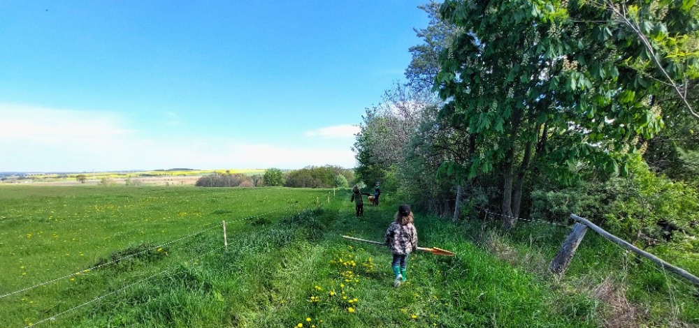 Praxistag der Jungen Naturwächter: Lebensraum Waldrand