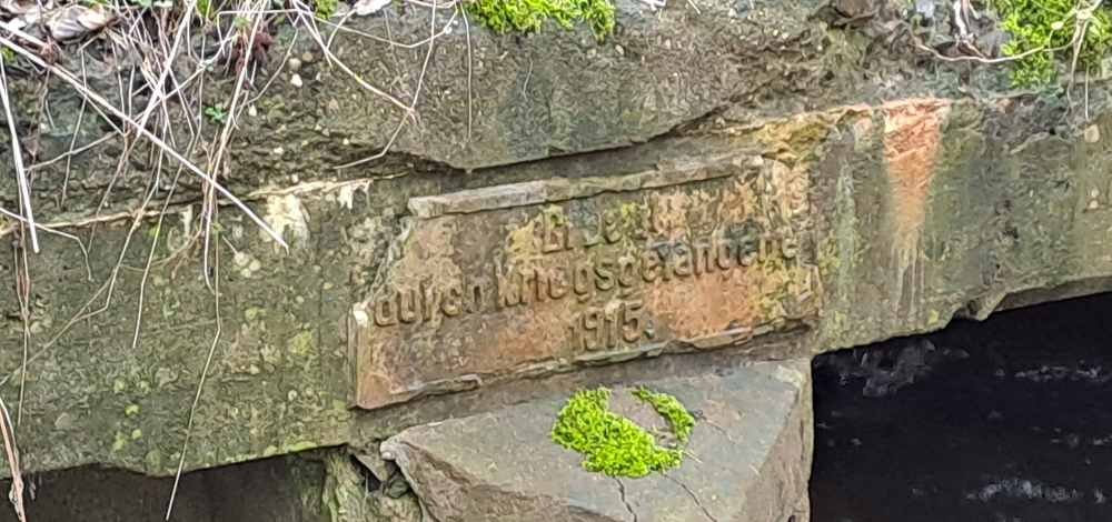 Busführung SPEZIAL "Auf Zeitreise im Wildnisgebiet"