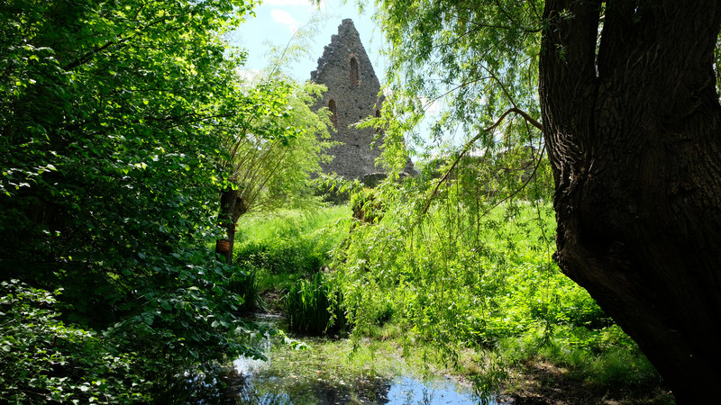 Dem Geheimnis des Wassers auf der Spur: Erlebnis-Tour rund um das Kloster Altzella