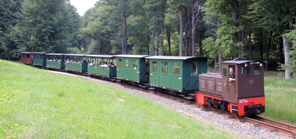 Waldeisenbahn Muskau - Sommerferienfahrten 2024