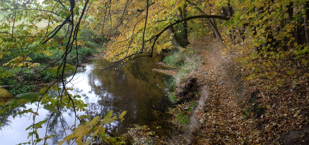 Ausstellungseröffnung: An der Lubata. Gehen und Geschichten am Fluss.