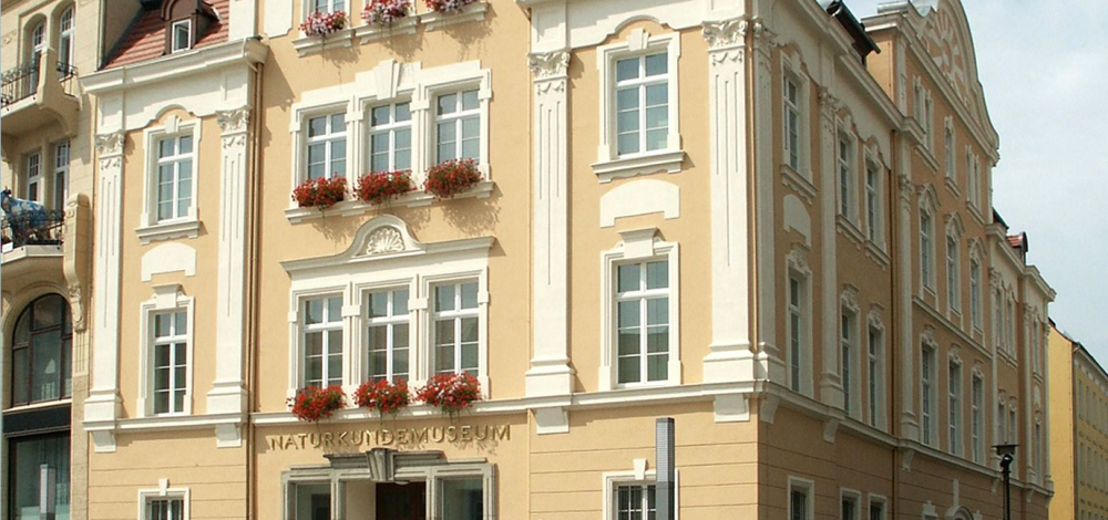 Internationaler Museumstag