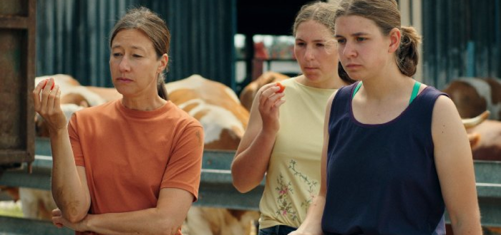 22. Neiße Filmfestival: Milch ins Feuer
