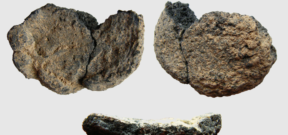 Museumsgespräch: „Nudeln, Brot und Hirsebrei - die einzigartigen vorgeschichtlichen Speisefunde von Niederkaina“