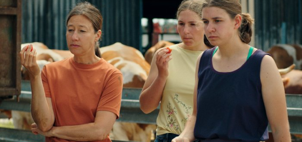 22. Neiße Filmfestival: Milch ins Feuer