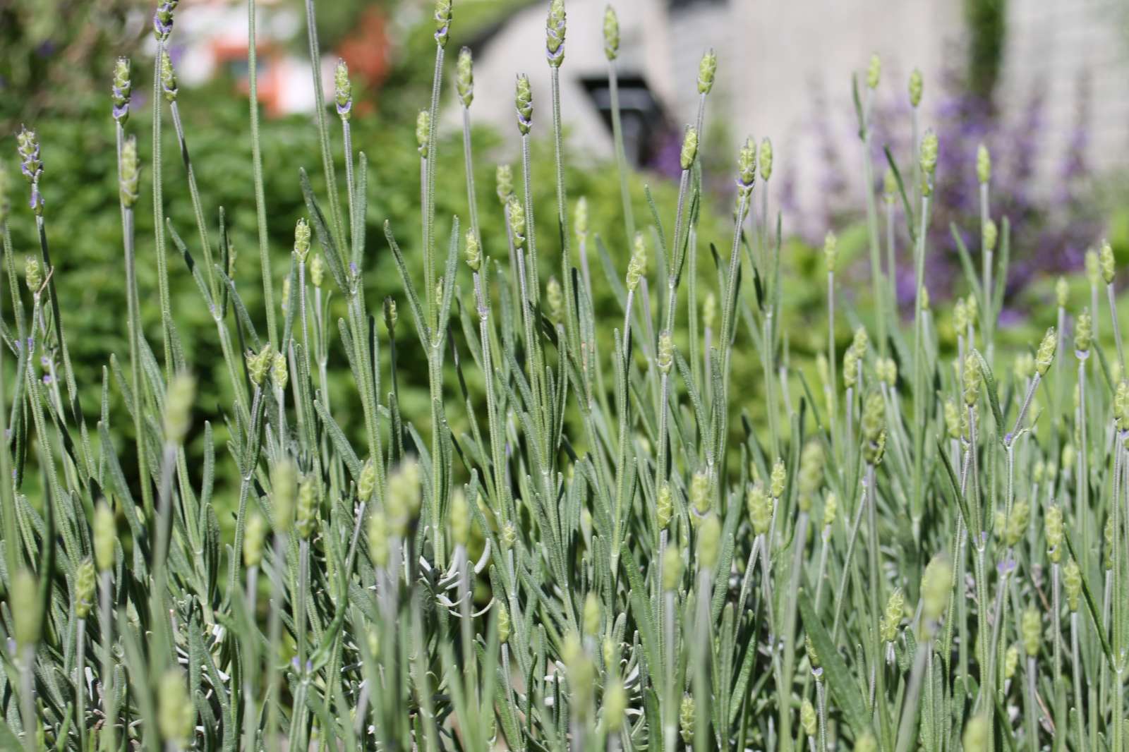 Treffpunkt gesunde Ernährung